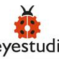 Keyestudio